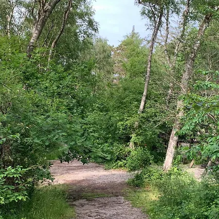 12 Person In Hundested-by Traum Hundested